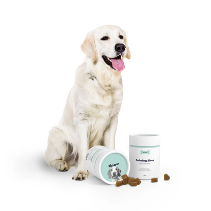 Calming Supplement for Dogs