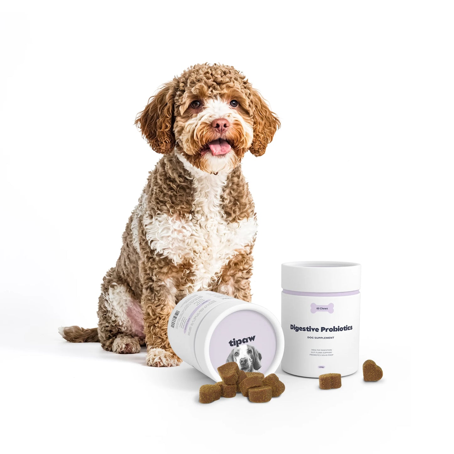 Digestive Probiotics Supplement for Dogs