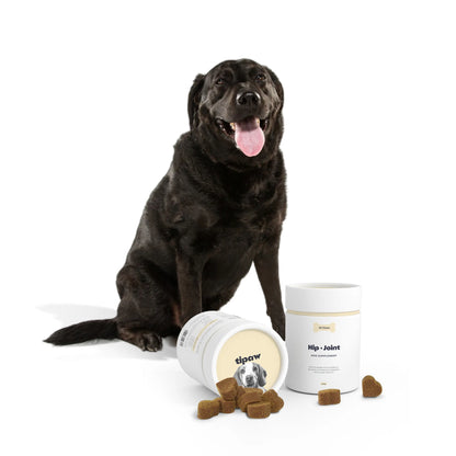 Hip & Joint Supplement for Dogs