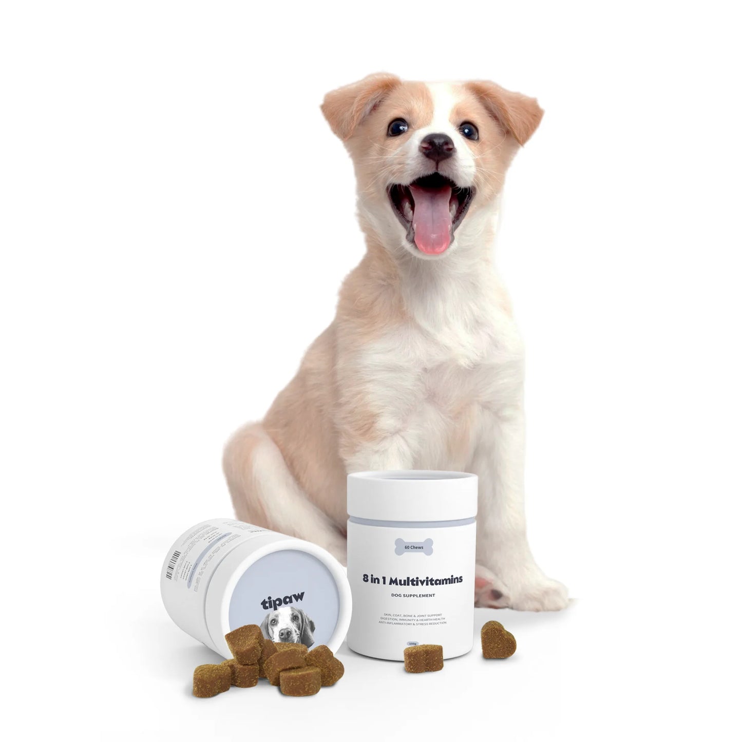 8-in-1 Multivitamins Supplement for Dogs