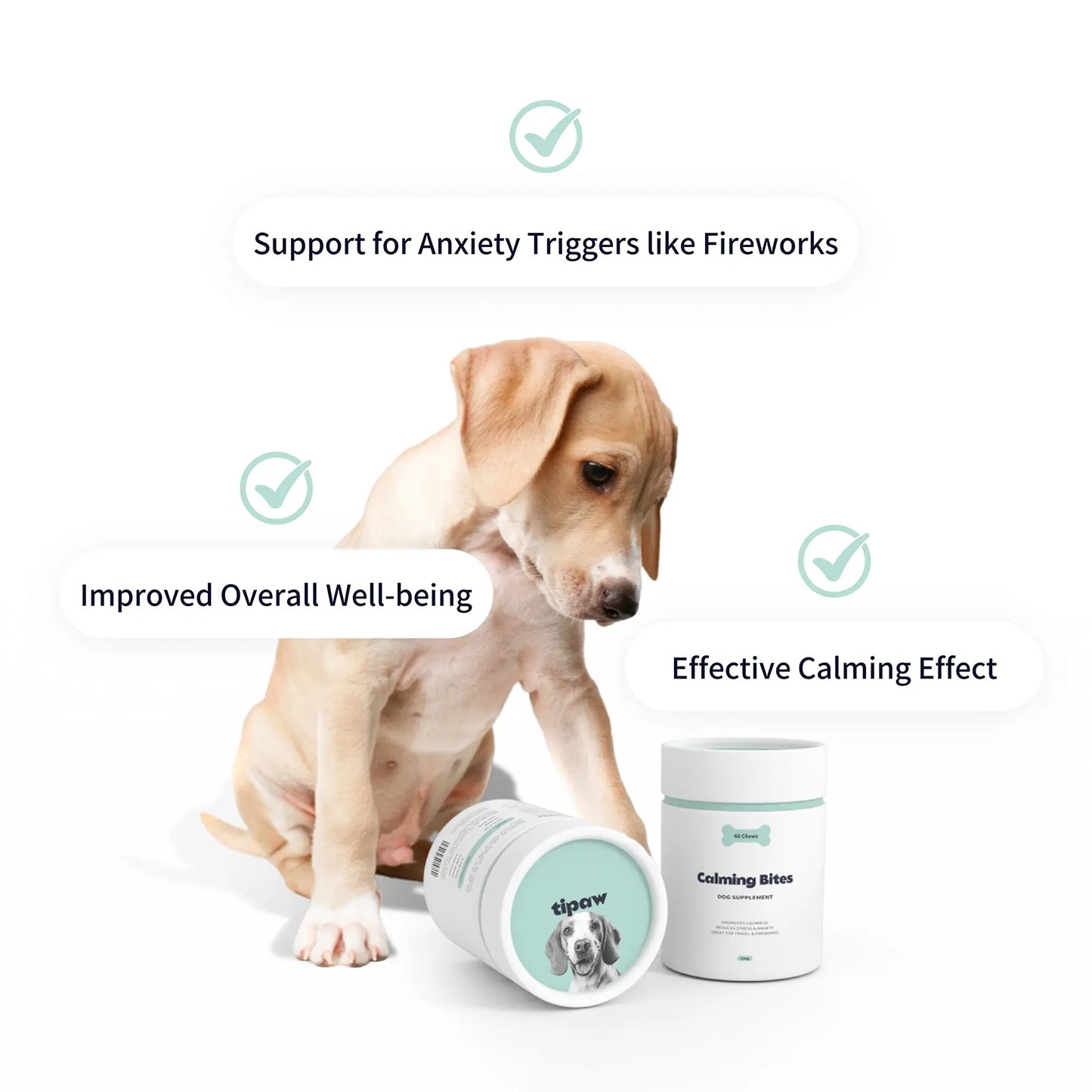 Calming Supplement for Dogs