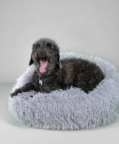 Calming Bed for Dogs