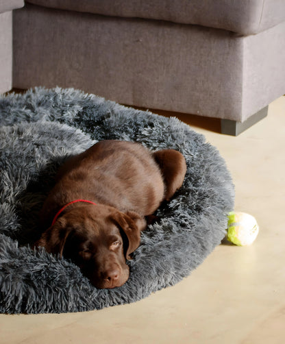 Calming Bed for Dogs