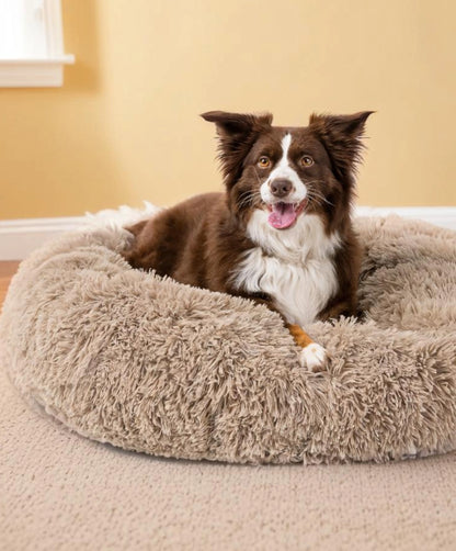 Calming Bed for Dogs