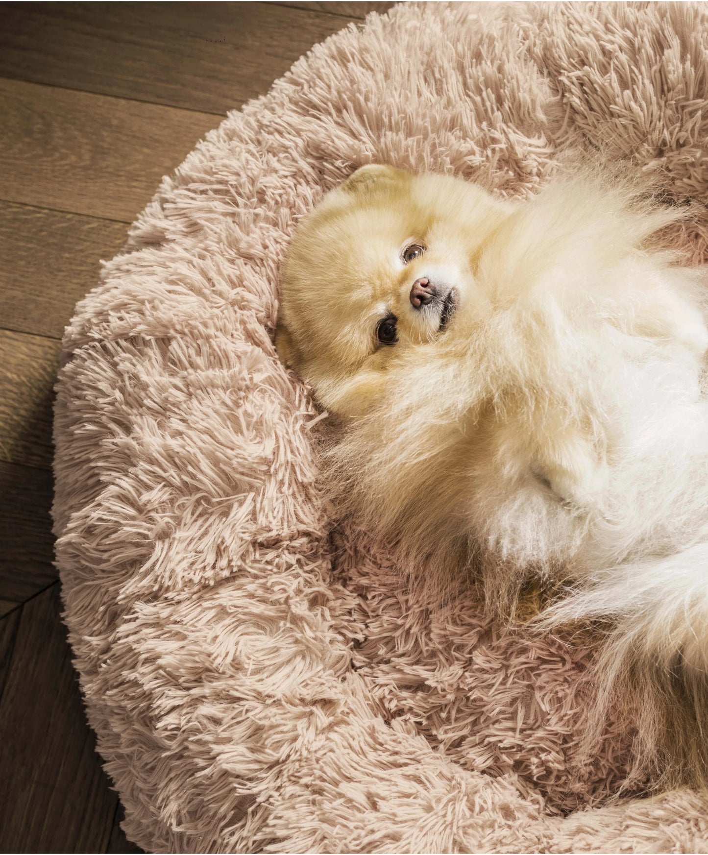 Calming Bed for Dogs