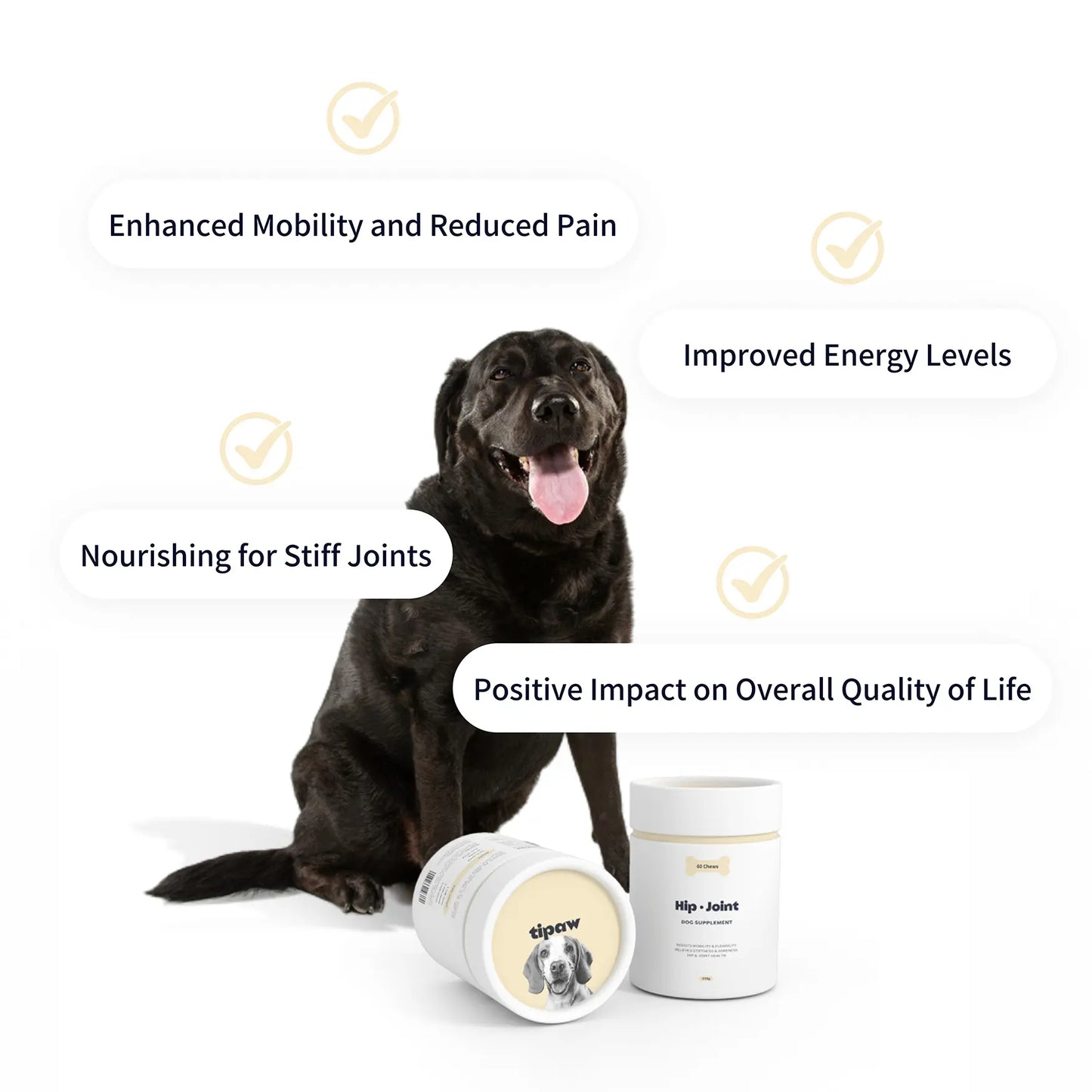 Hip & Joint Supplement for Dogs