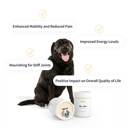 Hip & Joint Supplement for Dogs